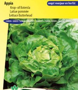 lettuce_appia_full