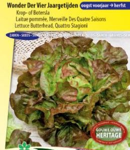 lettuce_quattro_stagione_full