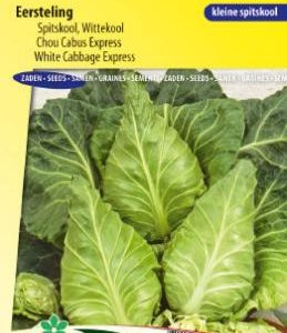 cabbage_white_express_full