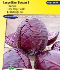 red_cabbage_langedijker_bewaar_2_full