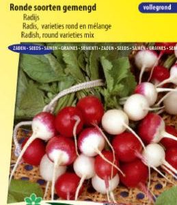 radish_round_varieties_mix_full