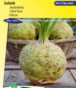 celeriac_goliath_full