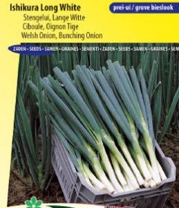 bunching_onion_welsh_ishikura_long_white_full