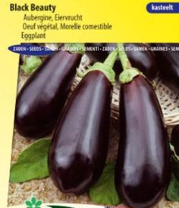 eggplant_black_beauty_full