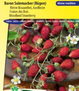 strawberry_vesca_alpina_ruegen_full