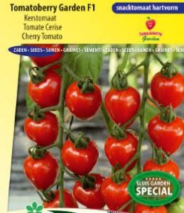 tomato_tomatoberry_garden_f1_full