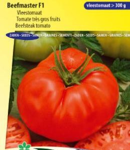 tomato_beefmaster_vfn_f1_large